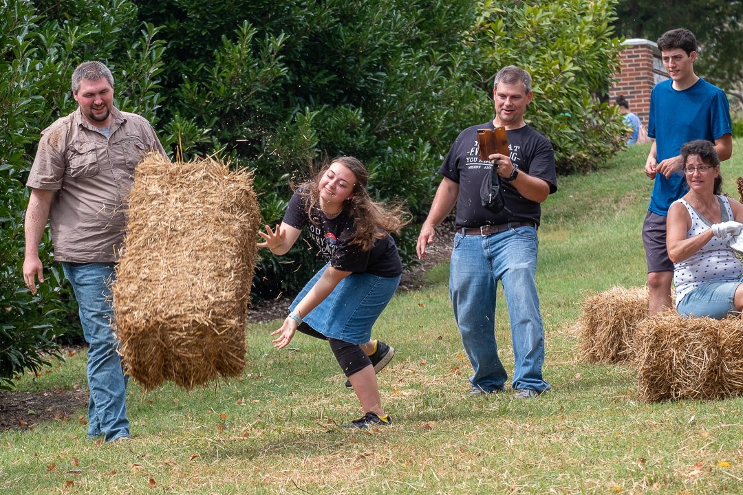 haybale19094.jpg