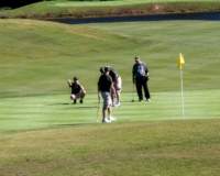 golf_9310_small.jpg