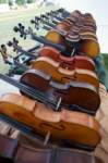 fiddlers04685_small.jpg