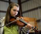 fiddle03861_small.jpg