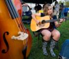 fiddle05068_small.jpg