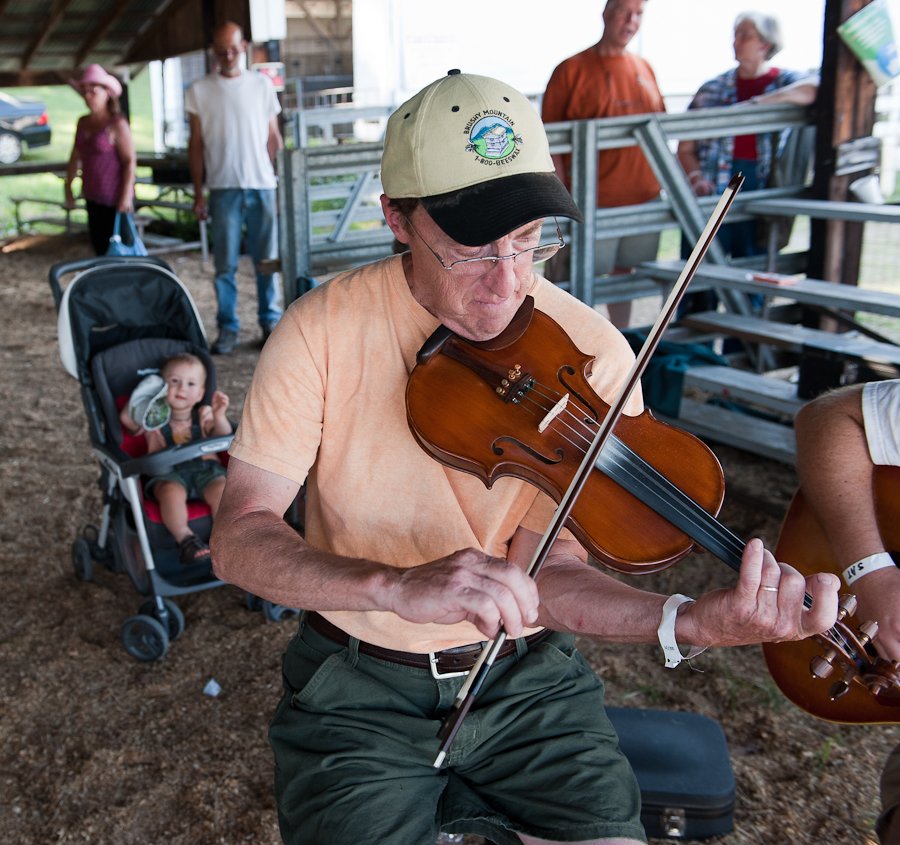 fiddle06110597.jpg