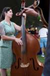 fiddle06119247_small.jpg