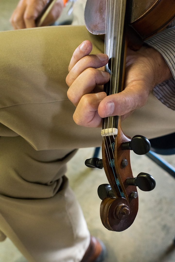 fiddle12061099.jpg