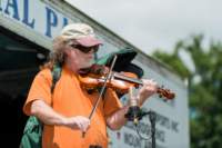 fiddle12061750_small.jpg