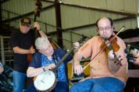 fiddle17064978_small.jpg