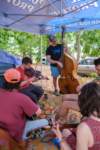 fiddlersconvention250627_small.jpg