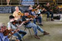 fiddlersconventionworkshops250659_small.jpg