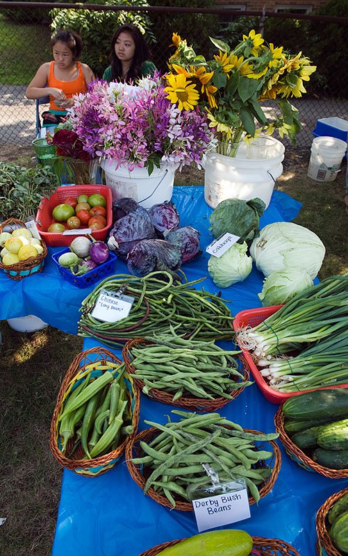 farmmkt09422.jpg