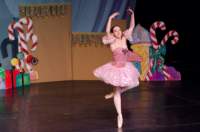 nutcracker11113274_small.jpg