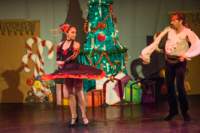 nutcracker121205991_small.jpg