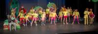 seussical120603902_small.jpg