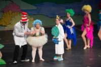 seussical120603965_small.jpg