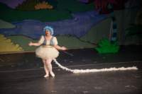 seussical120603992_small.jpg