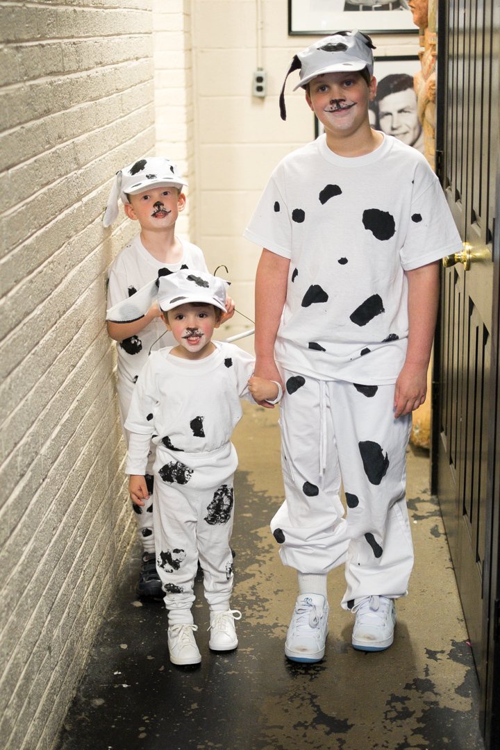 dalmatians13080644.jpg