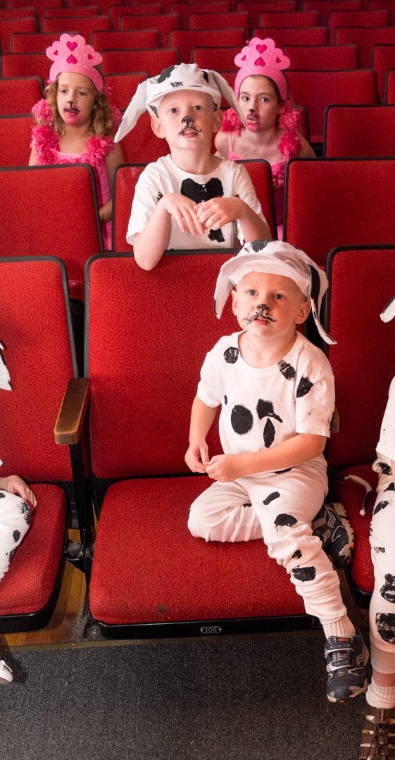 dalmatians13087927.jpg