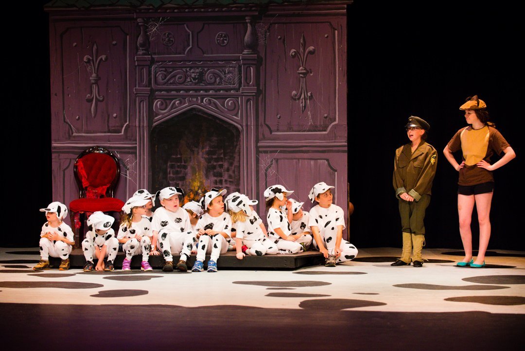 dalmatians130804883.jpg