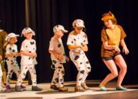 dalmatians130805082_small.jpg