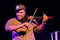 blackviolin16043980_small.jpg