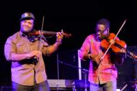 blackviolin16044010_small.jpg