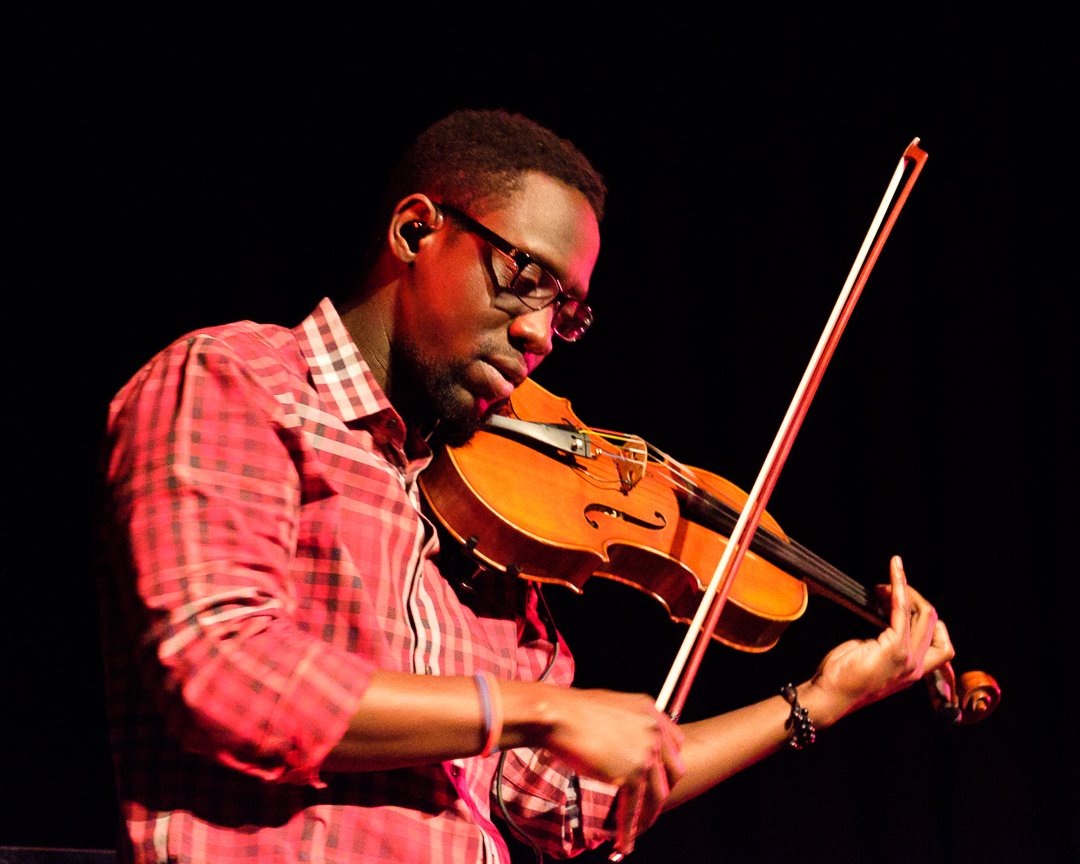 blackviolin16044039.jpg