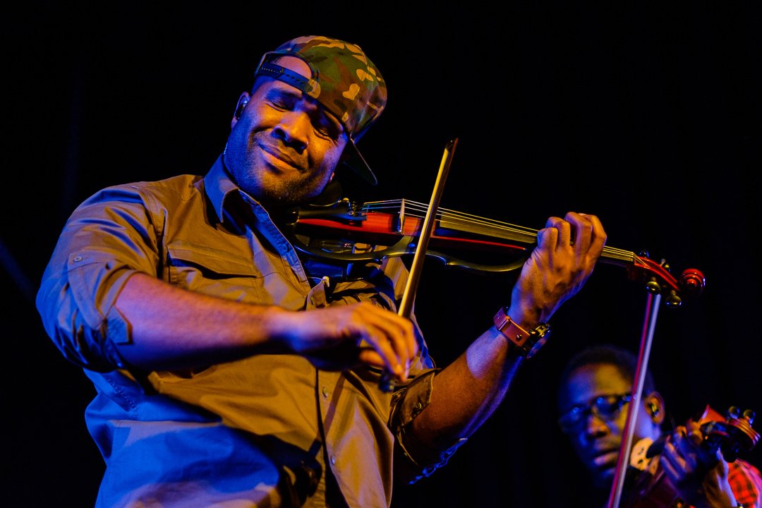 blackviolin16044306.jpg