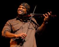 blackviolin16044341_small.jpg