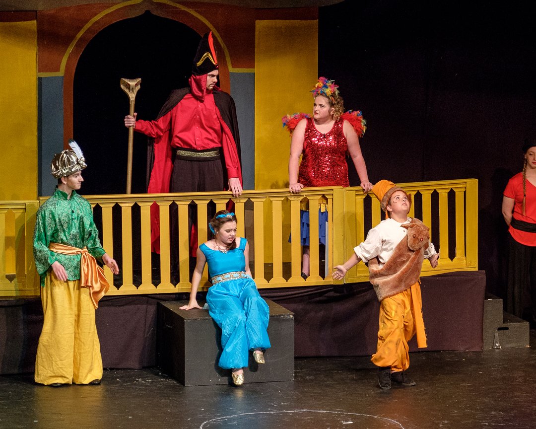 aladdin17060653.jpg