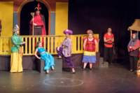 aladdin17060672_small.jpg