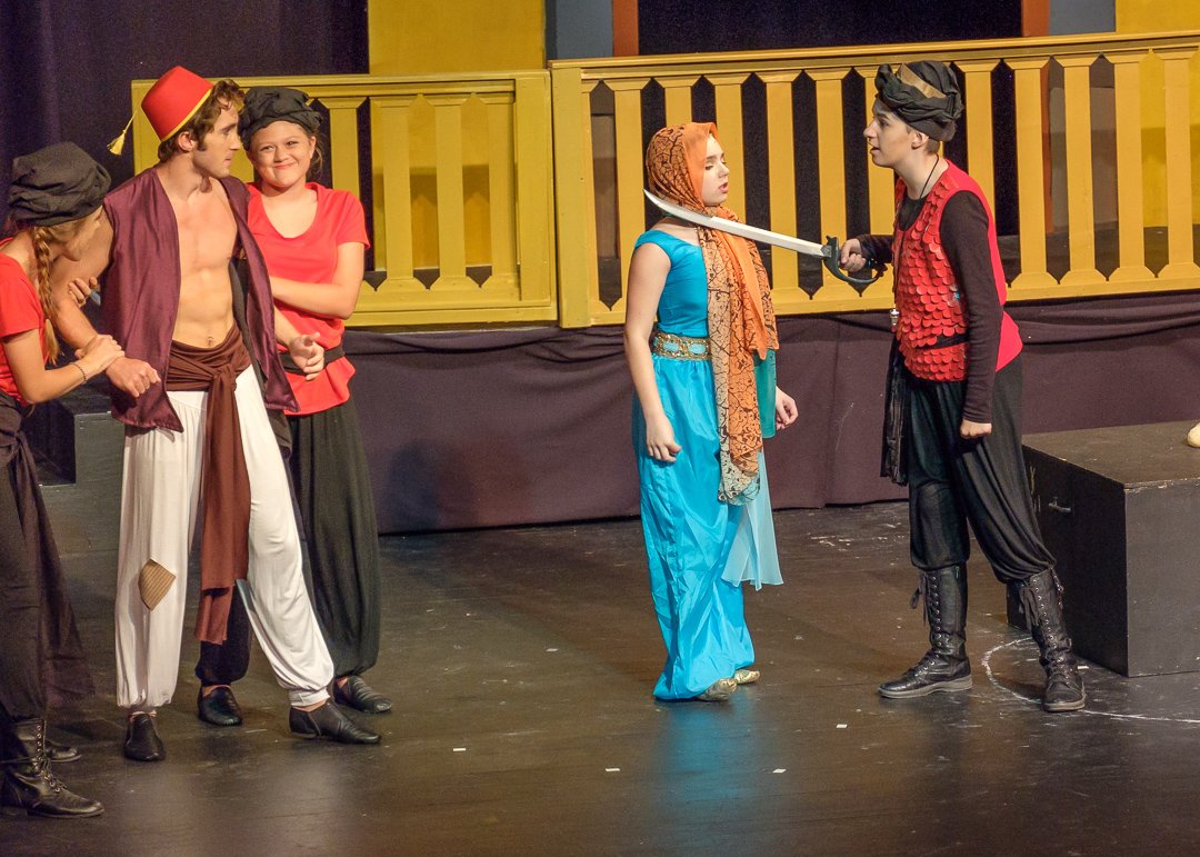 aladdin17060733.jpg