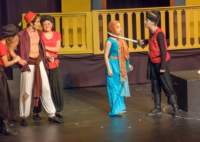 aladdin17060733_small.jpg