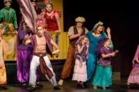 aladdin17061352_small.jpg