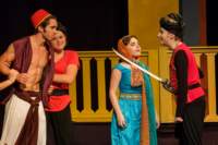 aladdin17061365_small.jpg