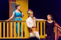 aladdin17061469_small.jpg