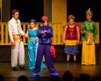 aladdin17061569_small.jpg