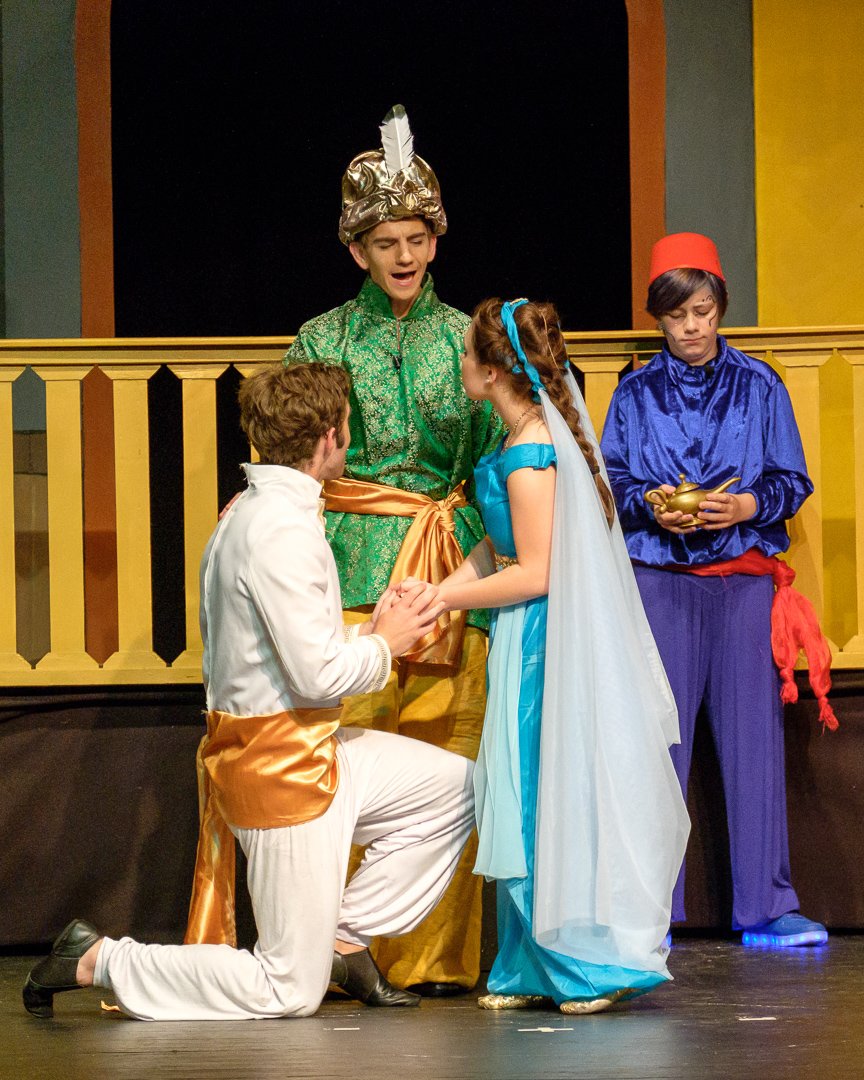 aladdin17061594.jpg