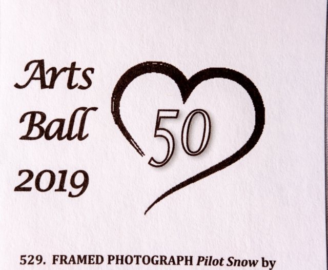 artsball19022930.jpg