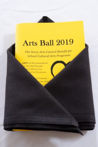 artsball19022935.jpg