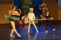 nutcracker211244_small.jpg