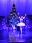 nutcracker241247_small.jpg