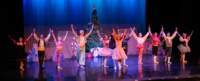 nutcracker241272_small.jpg