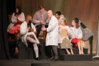 youngfrankenstein241012_small.jpg