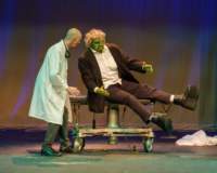 youngfrankenstein241053_small.jpg